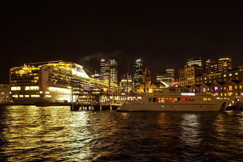 Private Tour: Sydney At Night - Darwin Holiday 2