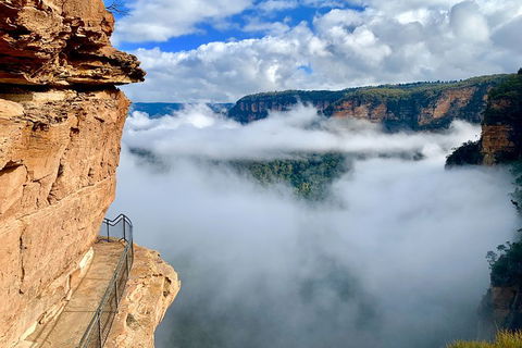Private Guided: Blue Mountains Hiking & Nature Tour - Darwin Holiday 5