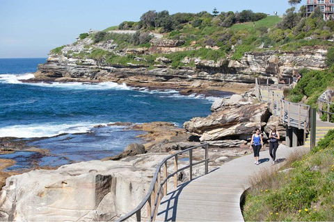 Private Tour: Sydney City Highlights - Darwin Holiday 2
