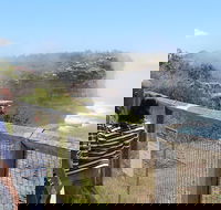 Sydney Shore Excursion Half-Day Sydney City Highlights with Bondi Beach and Watsons Bay - Darwin Holiday