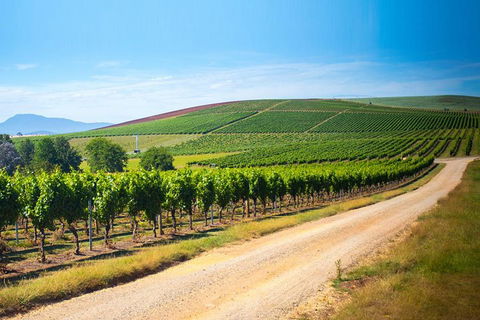 Full Day Tamar Valley Wine Tour - Darwin Holiday 1