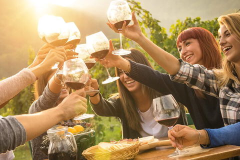 Mornington Peninsula Tour Inc Chairlift,beach Boxes,lunch,choc Tasting And More - Darwin Holiday 3