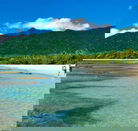 5-Day Best of Cairns with Daintree Kuranda and Great Barrier Reef - Darwin Holiday