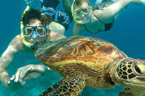 8-Day Cairns Tour: Great Barrier Reef, Kuranda, Daintree Rainforest - Darwin Holiday 1