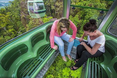 8-Day Cairns Tour: Great Barrier Reef, Kuranda, Daintree Rainforest - Darwin Holiday 3