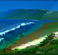 Cairns Reef and Rainforest Combo Daintree Rainforest and the Great Barrier Reef - Darwin Holiday