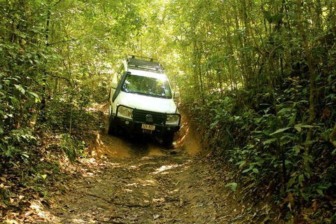 Barron Gorge And Kuranda National Park Half Day Rainforest And Waterfall 4WD Tour From Cairns - Darwin Holiday 2