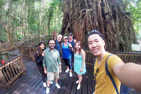 Barron Gorge And Kuranda National Park Half Day Rainforest And Waterfall 4WD Tour From Cairns - Darwin Holiday 5