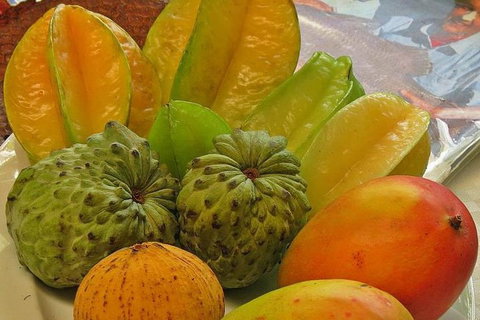 Cairns National Park Rainforest And Waterfall Small Group Tour Shore Excursion - Darwin Holiday 5