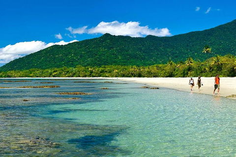 Private Daintree National Park Day Tour From Cairns Including Cape Tribulation And Mossman Gorge - Darwin Holiday 0