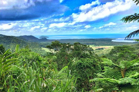 Private Daintree National Park Day Tour From Cairns Including Cape Tribulation And Mossman Gorge - Darwin Holiday 2