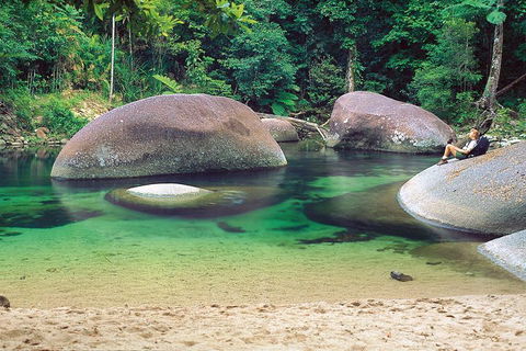 Private Daintree National Park Day Tour From Cairns Including Cape Tribulation And Mossman Gorge - Darwin Holiday 4