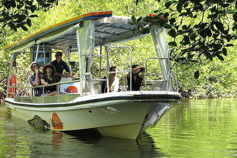 Private Daintree National Park Day Tour From Cairns Including Cape Tribulation And Mossman Gorge - Darwin Holiday 5
