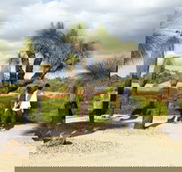 1 Day Exclusively Private Tour Of Phillip Island  The Penguin Parade - Darwin Holiday