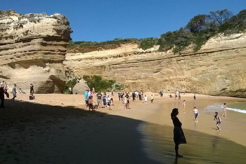 Great Ocean Road Full Day Private Experience - Darwin Holiday 3