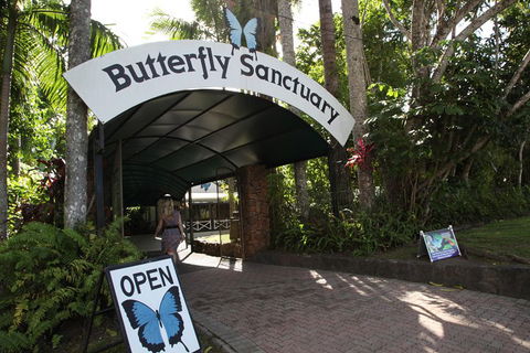 Kuranda Day Trip From Port Douglas Upgrade To Skyrail & Scenic Train Available - Darwin Holiday 0