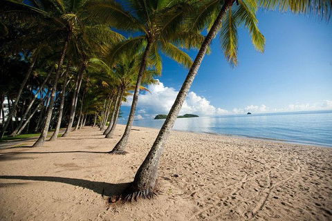 Kuranda Day Trip From Port Douglas Upgrade To Skyrail & Scenic Train Available - Darwin Holiday 1