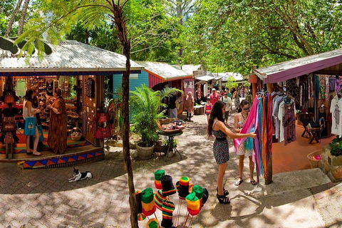 Kuranda Day Trip From Port Douglas Upgrade To Skyrail & Scenic Train Available - Darwin Holiday 2