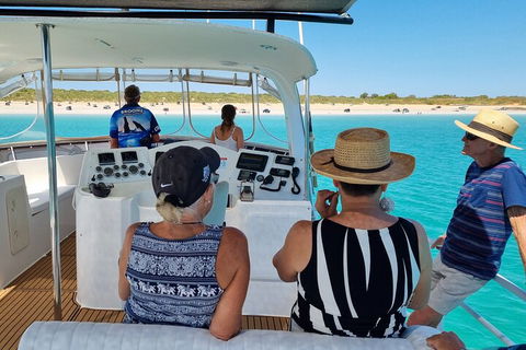 Snubfin Dolphin Eco Cruise From Broome - Darwin Holiday 5