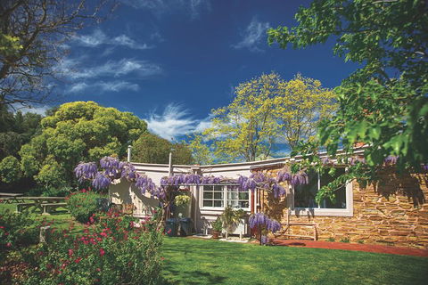 McLaren Vale Winery Small Group Tour With Wine Tasting And Lunch - Darwin Holiday 2