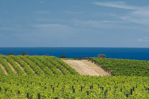 McLaren Vale Winery Small Group Tour With Wine Tasting And Lunch - Darwin Holiday 4