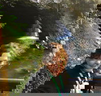 Waterfall Tour - Darwin Holiday