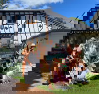 Mt Tamborine ScenicRim Deluxe Wine Tasting and Sightseeeing Tour - Darwin Holiday