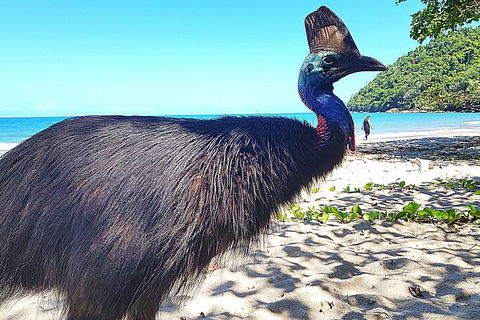 The Paronella Experience - Darwin Holiday 0