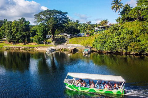 Full Day Tour In The Daintree - Darwin Holiday 2