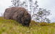 3-Day Cradle Mountain Photography Workshop - thumb 0