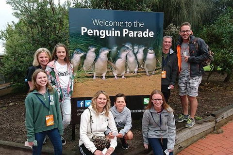 Phillip Island Medium Size Group Tour - Darwin Holiday 5