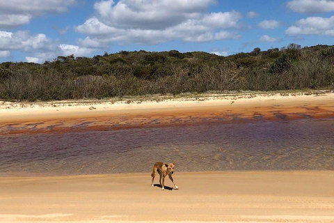 Pippies 3 Days 2 Nights Fraser Island Tour - Darwin Holiday 2