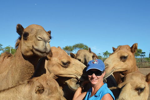 Broome Pre-sunset Camel Tour 30 Minutes - Darwin Holiday 0