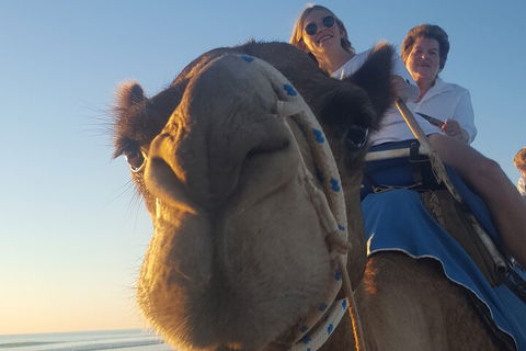 Broome Pre-sunset Camel Tour 30 Minutes - Darwin Holiday 1