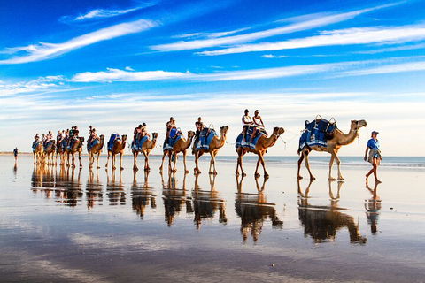 Broome Pre-sunset Camel Tour 30 Minutes - Darwin Holiday 2