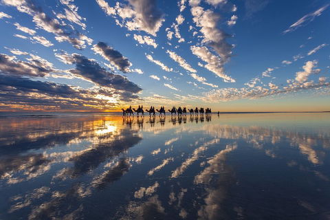 Broome Pre-sunset Camel Tour 30 Minutes - Darwin Holiday 4
