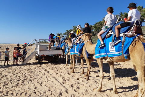 Broome Pre-sunset Camel Tour 30 Minutes - Darwin Holiday 5