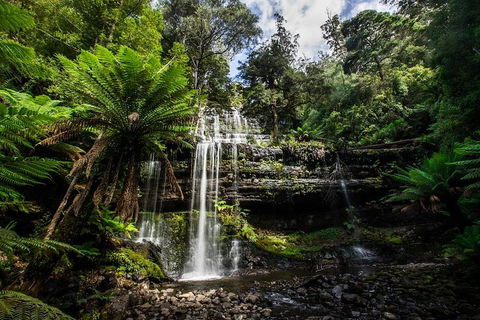 3-Day Tour To The Falls, Mountains, Lake & More Of West Coast Tasmania - Darwin Holiday 4