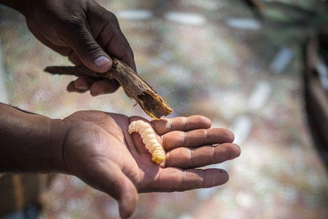 Karrke Aboriginal Cultural Experience - Darwin Holiday 3