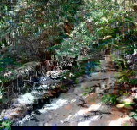 Fraser Island 4WD Tour from Rainbow Beach - Darwin Holiday