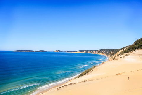 Kayak With Dolphins And 4WD Great Beach Drive Day Trip From Noosa - Darwin Holiday 0