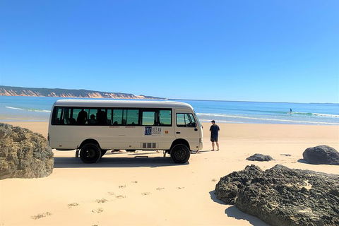 Kayak With Dolphins And 4WD Great Beach Drive Day Trip From Noosa - Darwin Holiday 4