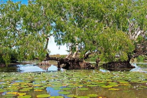 Ethical Adventures - Best In The WET - Litchfield / Kakadu 3 Day- Max 10 Guests - Darwin Holiday 1