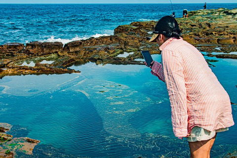 Sydney Private Tour Featuring Wilderness, Wildlife, Waves, Waterfalls And Wine - Darwin Holiday 1