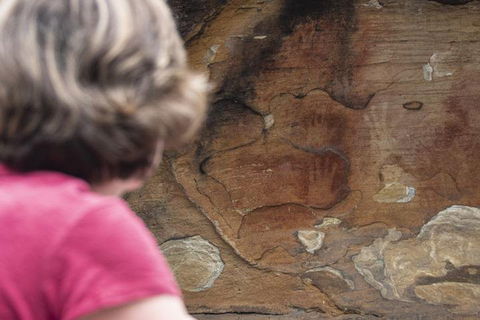 Sydney Private Tour Featuring Wilderness, Wildlife, Waves, Waterfalls And Wine - Darwin Holiday 2