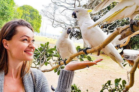 Sydney Private Tour Featuring Wilderness, Wildlife, Waves, Waterfalls And Wine - Darwin Holiday 4