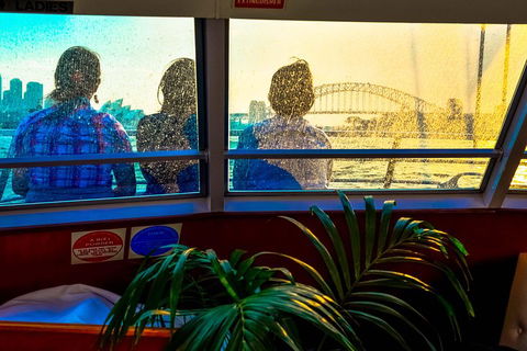 Sydney City Private Tour - Darwin Holiday 1