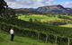 Private Blue Mountains And Winery Day-Trip From Sydney - thumb 2