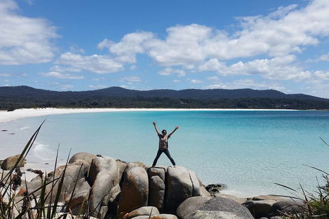 Tasmania 4 Day East Coast + Launceston - Darwin Holiday 1