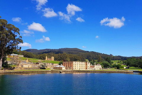 6-Day Tasmania Small-Group Guided Tour With Gourmet Food - Darwin Holiday 5